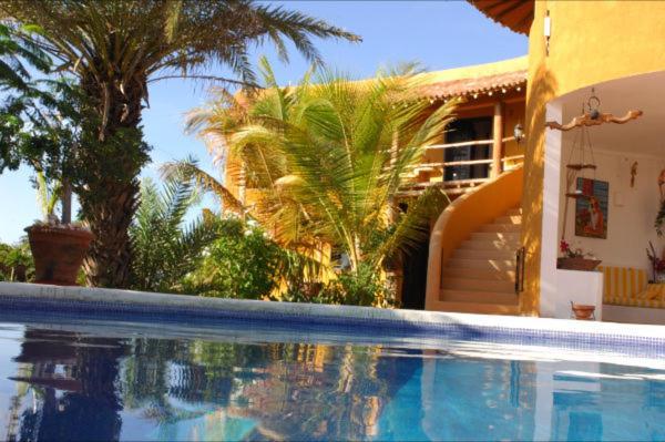 Hotel Steviewonderland Playa El Yaque Exteriér fotografie